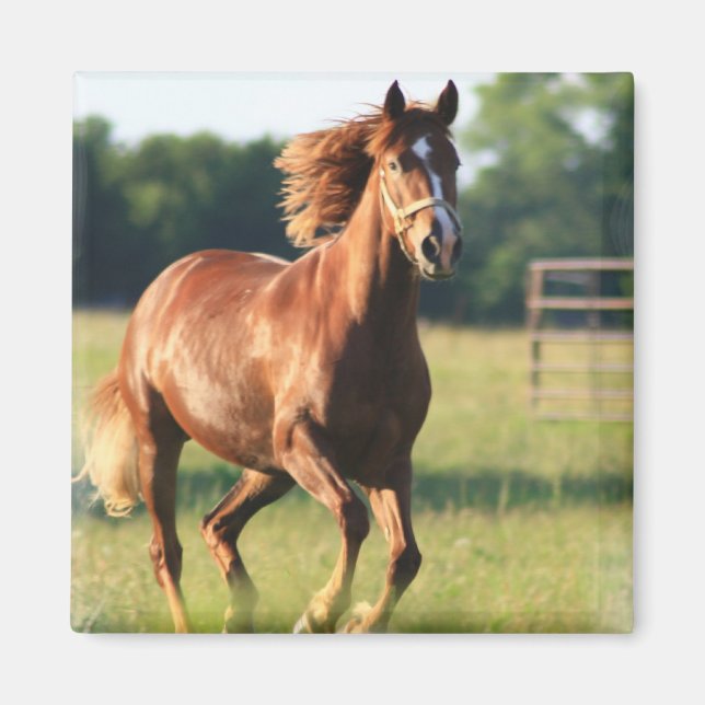 Chestnut Galloping Horse Magnet (Framsidan)