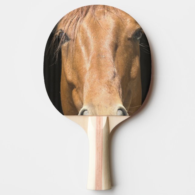 chestnut-horse-4 pingisracket (Framsidan)