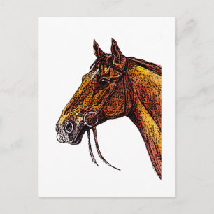 Chestnut Horse Bläck Vykort