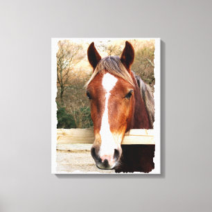CHESTNUT HORSE CANVASTRYCK