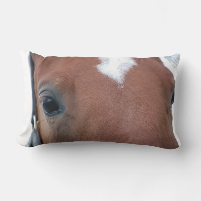 Chestnut Horse Close-up Lumbarkudde (Framsida)