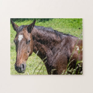 Chestnut Horse Closeup Pussel