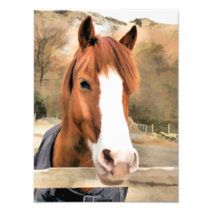 CHESTNUT HORSE FOTOTRYCK