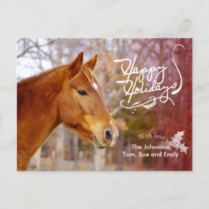 Chestnut Horse Helgdag Photo Postcards Helg Vykort