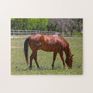 Chestnut Horse i Fält Pussel