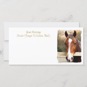 CHESTNUT HORSE-KORT