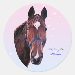 Chestnut Horse med White Star Runt Klistermärke