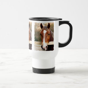 CHESTNUT HORSE RESEMUGG