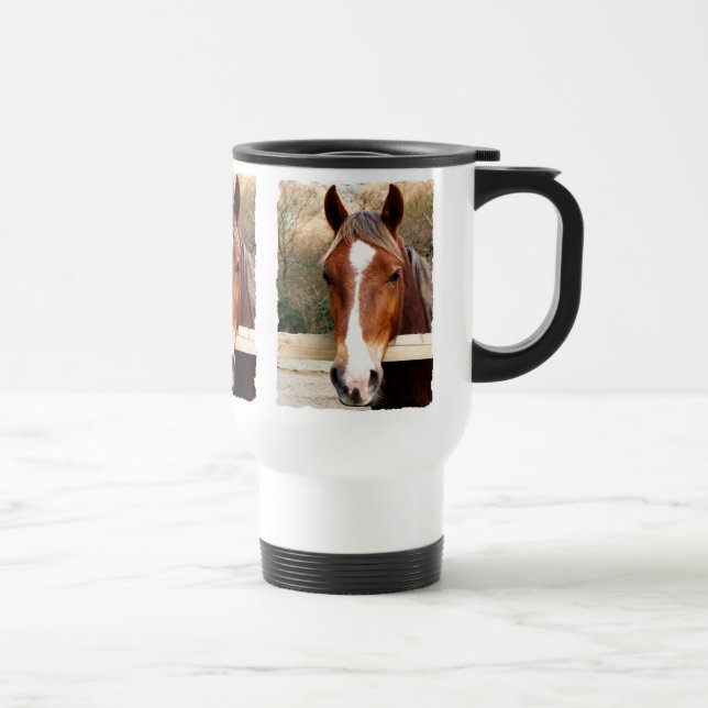 CHESTNUT HORSE RESEMUGG (Höger)