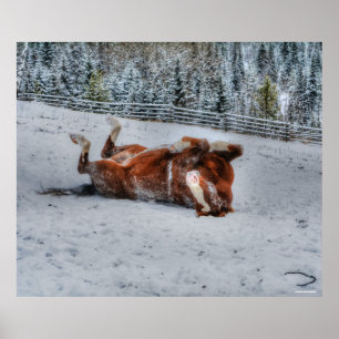 Chestnut Horse Rolling in Winter Snö Photo Poster