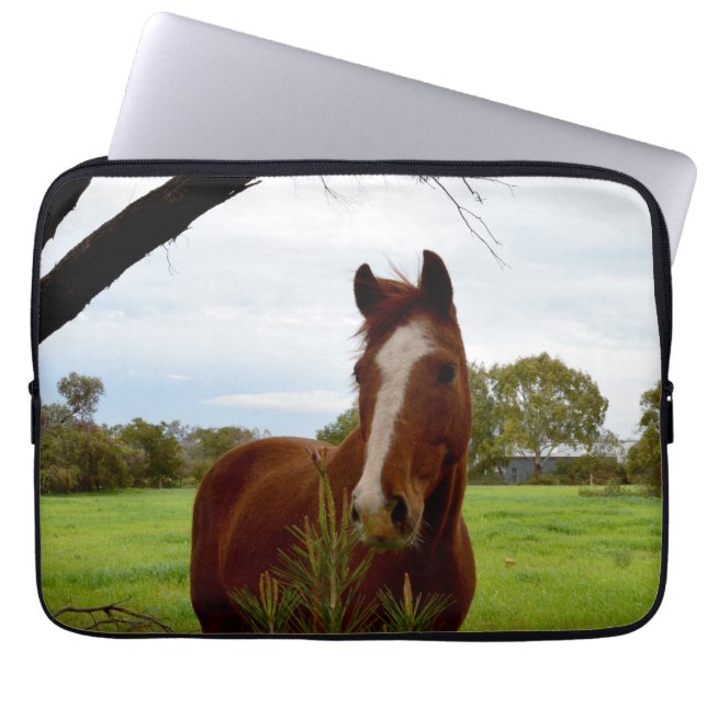 Chestnut Horse Sniffing A Banksia Träd Laptop Sleeve (Framsidan)