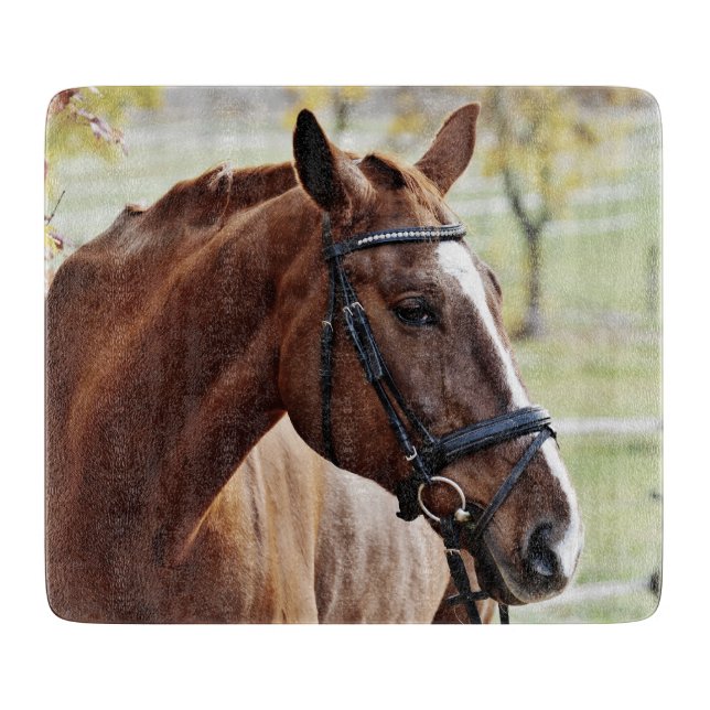 Chestnut Horse with Blaze, Bridle, in Pasture (Framsidan)