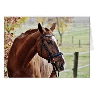 Chestnut Horse with Blaze, Bridle, in Pasture Hälsningskort