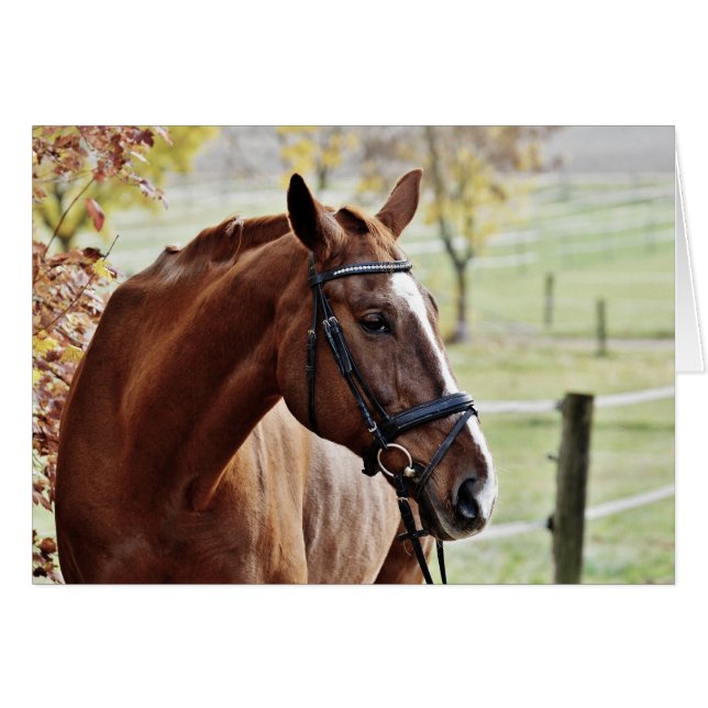 Chestnut Horse with Blaze, Bridle, in Pasture Hälsningskort (Framsidan Horizontal)