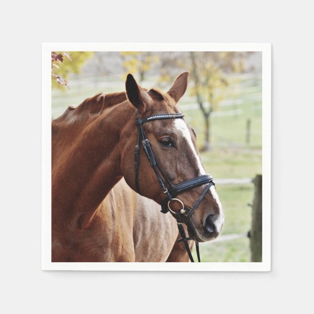 Chestnut Horse with Blaze, Bridle, in Pasture Pappersservett (Framsidan)