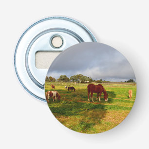 Chestnut Horse with Shetlands, Flasköppnare