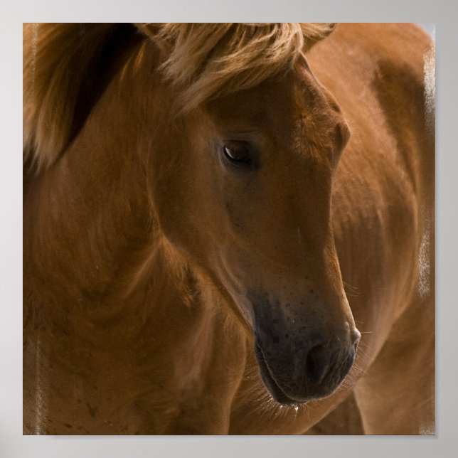 Chestnut Horst Design Print Poster (Framsidan)