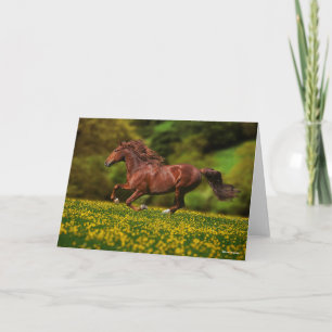 Chestnut Lusitano i Buttercups Kort