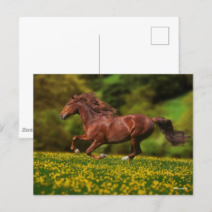 Chestnut Lusitano i Buttercups Vykort