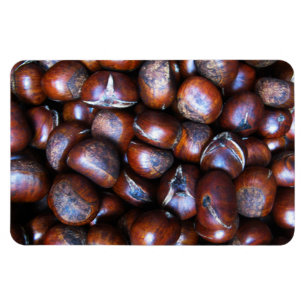Chestnut Magnet