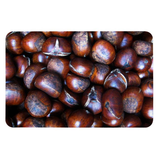 Chestnut Magnet (Horisontell)