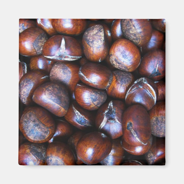 Chestnut Magnet (Framsidan)