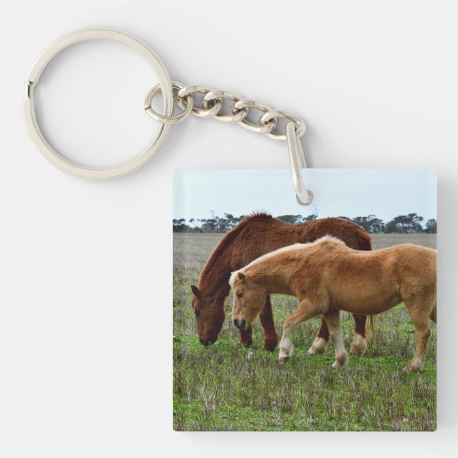 Chestnut Mare and Palomino Foal (Framsidan)
