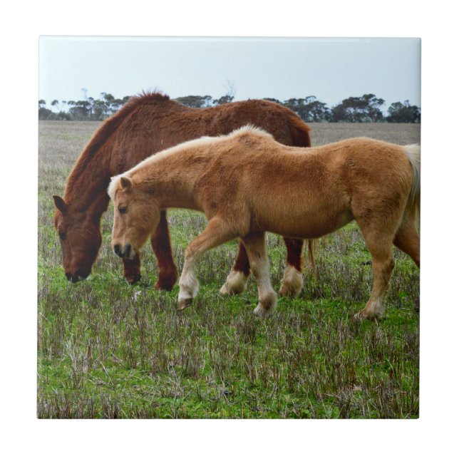 Chestnut Mare and Palomino Foal Kakelplatta (Framsidan)