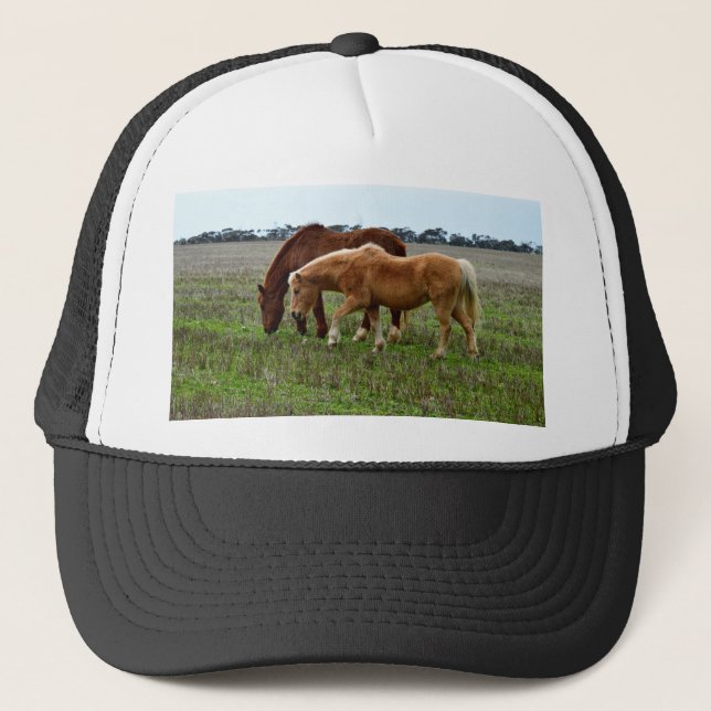Chestnut Mare and Palomino Foal Keps (Framsida)