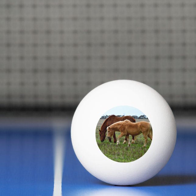 Chestnut Mare and Palomino Foal Pingisboll (Netto)