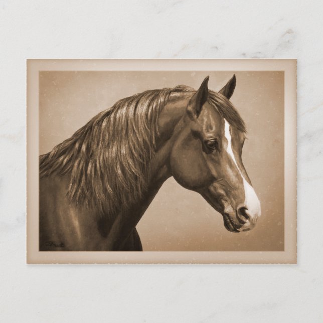 Chestnut Morgan Horse i Sepia Vykort (Framsida)