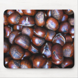 Chestnut Musmatta