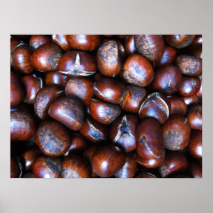 Chestnut Poster