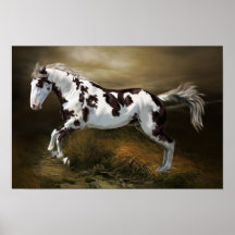 Chestnut Stänk Ram Tovero Paint Horse