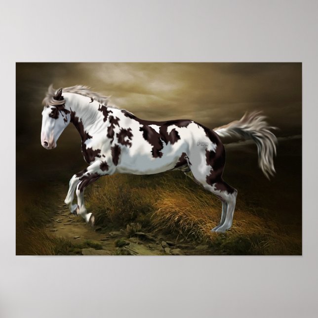 Chestnut Stänk Ram Tovero Paint Horse Poster (Framsidan)