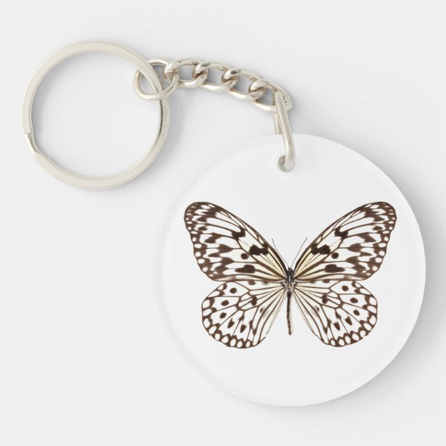 Chestnut Tiger Butterfly (Framsidan)