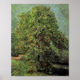 Chestnut Träd i Blommar, Van Gogh Fine Art Poster