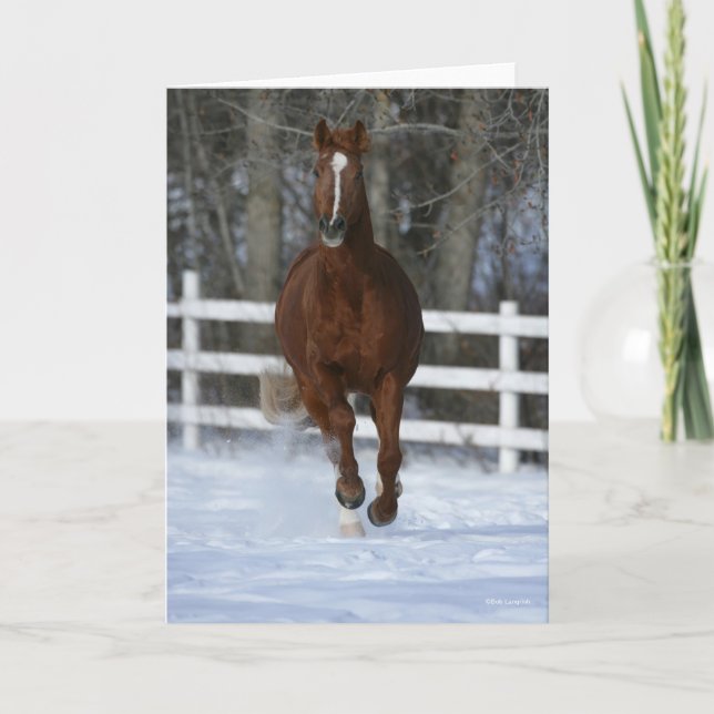 Chestnut Trakehner Stallion In The Snow Kort (Framsida)