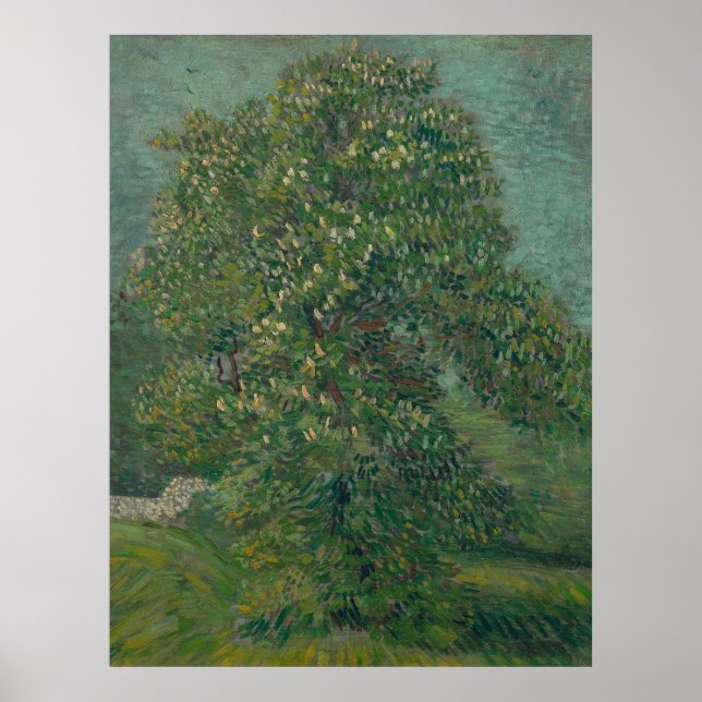 chestnut tree in bloom  poster (Framsidan)