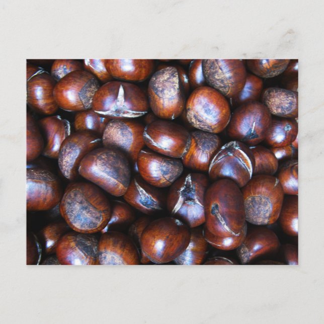 Chestnut Vykort (Framsida)