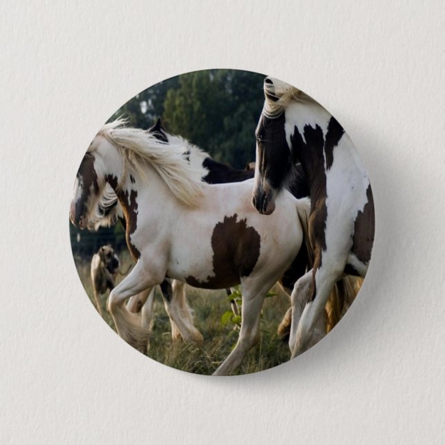 CHEVAUX NOIR ET BLANC 1.PNG KNAPP (Framsida)