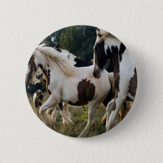 CHEVAUX NOIR ET BLANC 1.PNG KNAPP