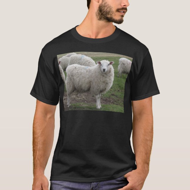 Cheviot får t shirt (Framsida)
