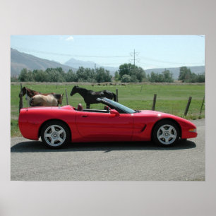 Chevrolet Corvette cabriolet C5 Poster