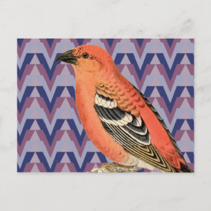 Chevron och Vintage Rosa Bird Vykort