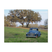 Chevy Pickupa Lastbil Gamla Land-ängen Pickupa Las