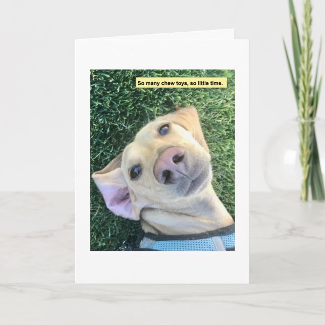 Chew Leksak MillieGram Kort (Framsida)