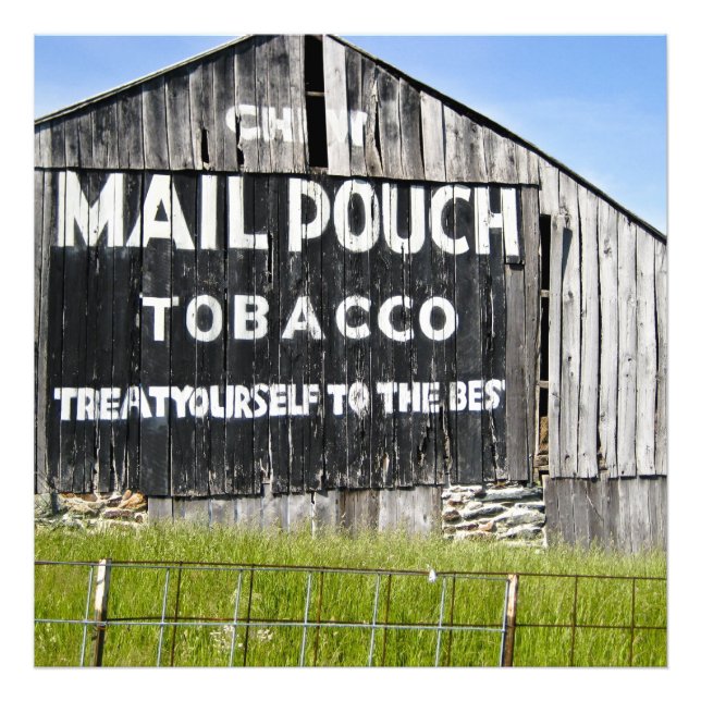 Chew Mail Pouch Tobacco Treat Yourself to the Best Fototryck (Framsidan)