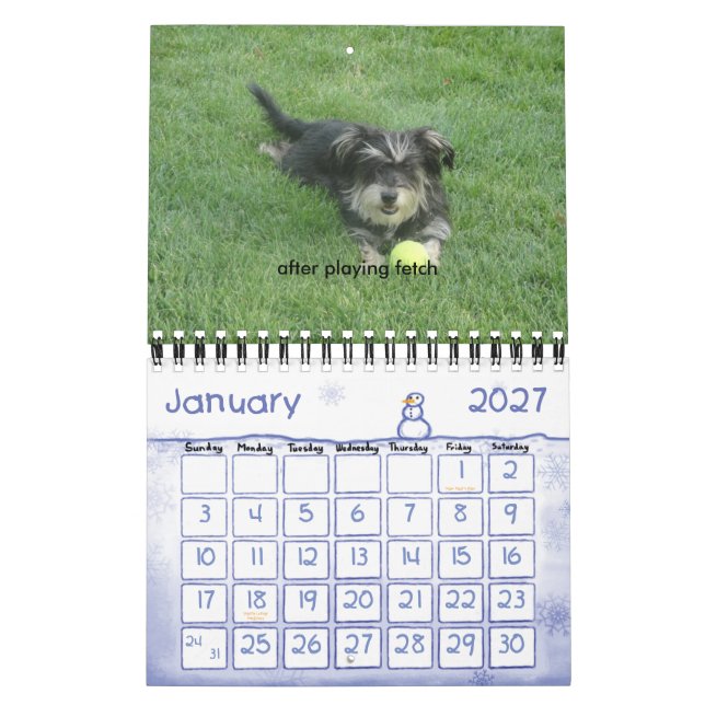Chewie: Ett år i bilder Kalender (Jan 2027)