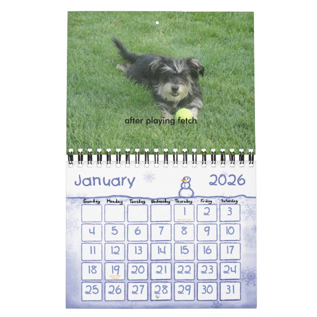 Chewie: Ett år i bilder Kalender (Jan 2026)